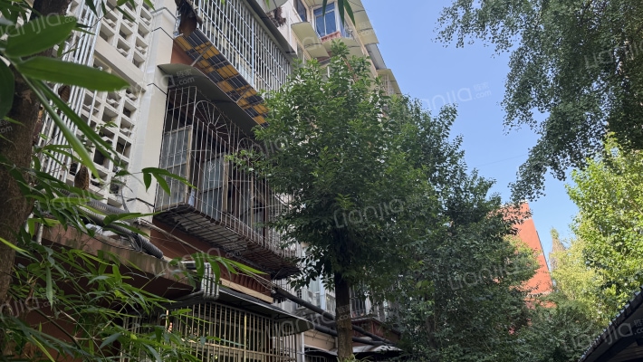 玉林东路9号外景图