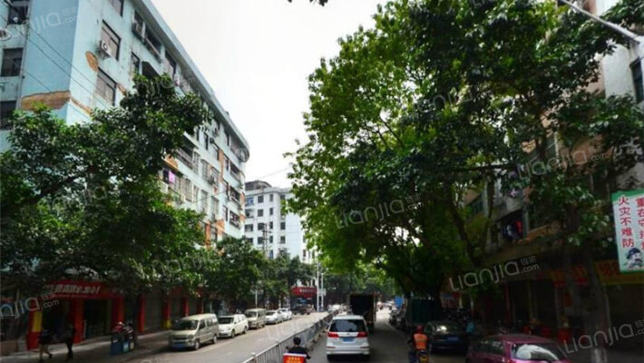 菜园中路外景图