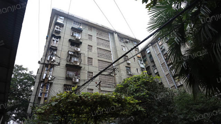 教委大院外景图