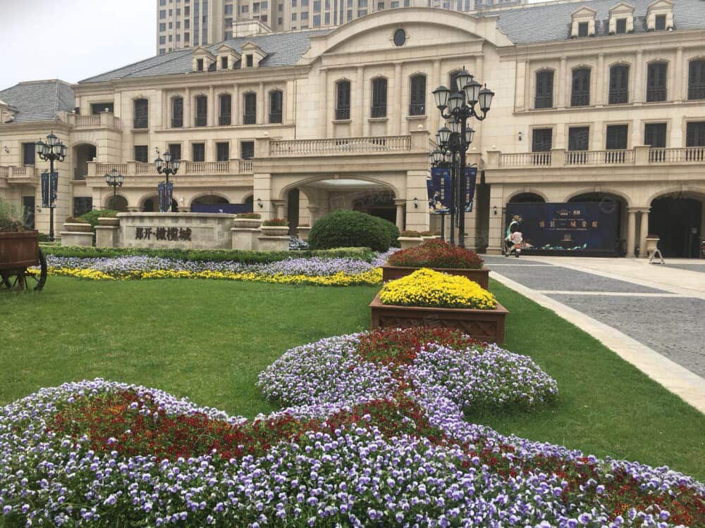 郑开橄榄城相册