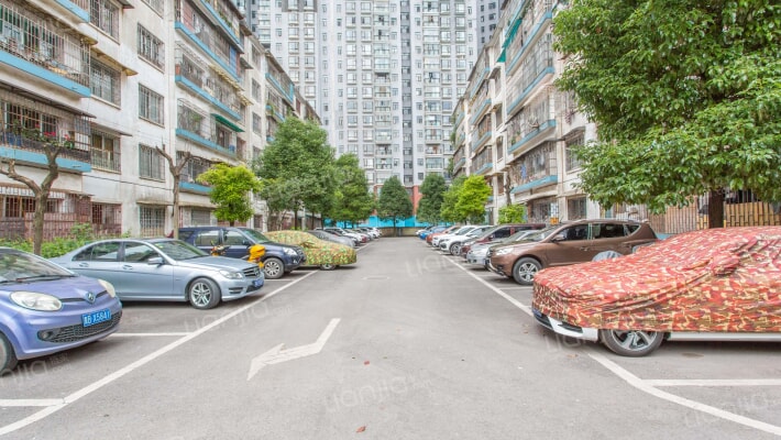 红云社区八十五号小区外景图