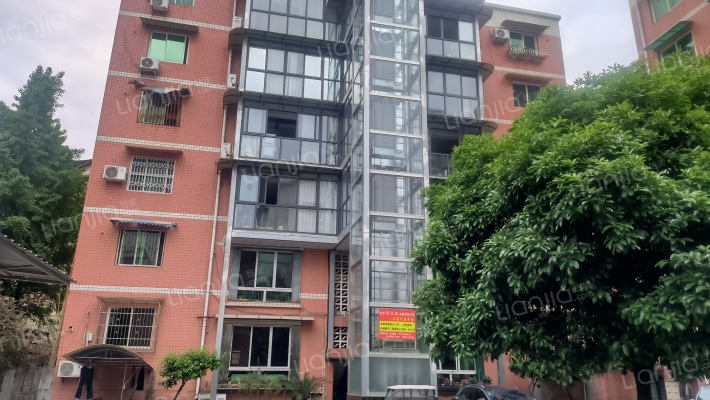 金桔巷137号外景图