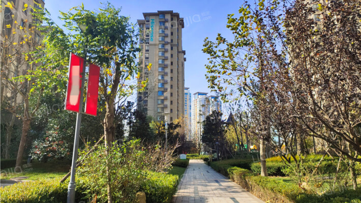 海信凤凰金岸外景图