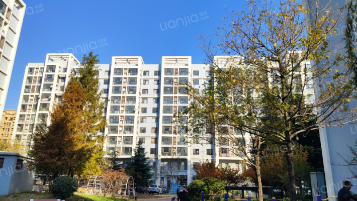 厚德森林国际外景图