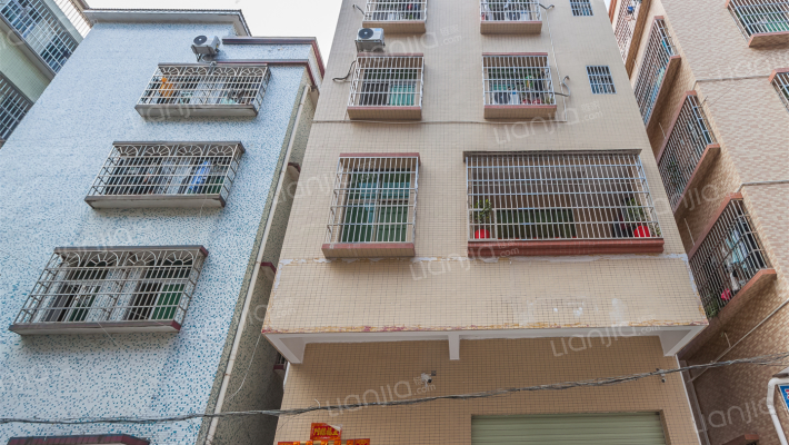 中山市坦洲镇合胜村花稔围外景图