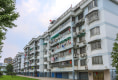 大树江小区户型图实景图
