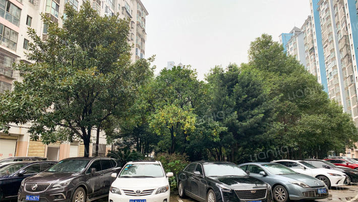 阳光紫薇园外景图