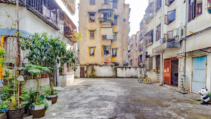 仙湖边街外景图