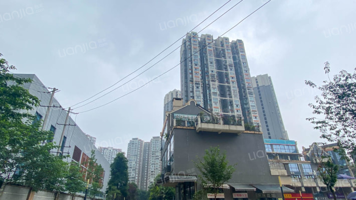 缤纷年华外景图