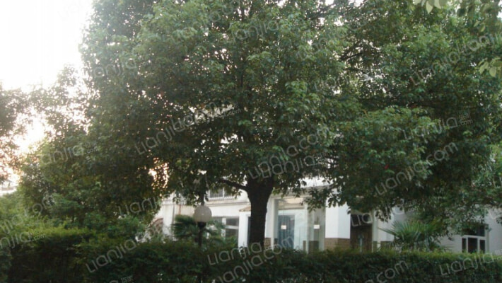 长堤花园别墅外景图