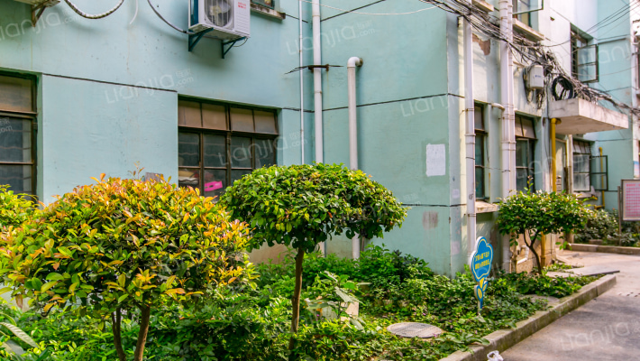 西市街85弄外景图