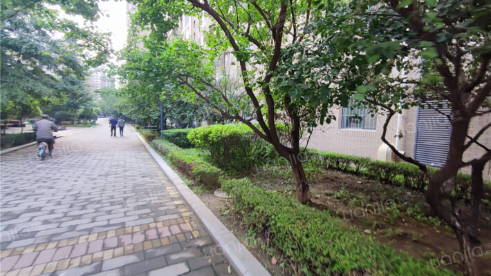 第五大道花园外景图