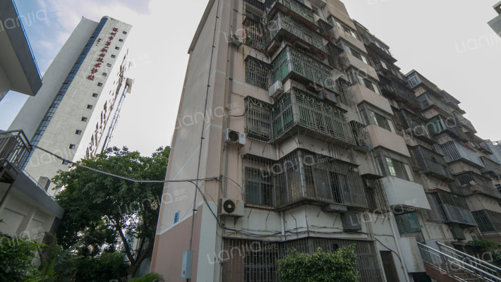 电子技术学校家属楼外景图