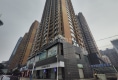 金世纪·新城户型图实景图