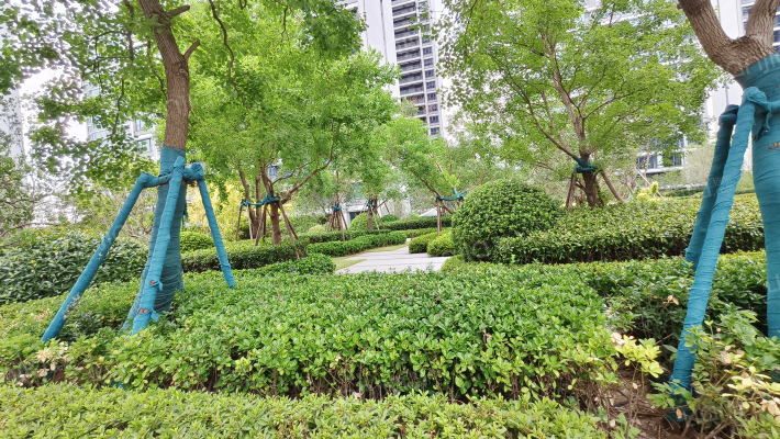 东望雅苑外景图