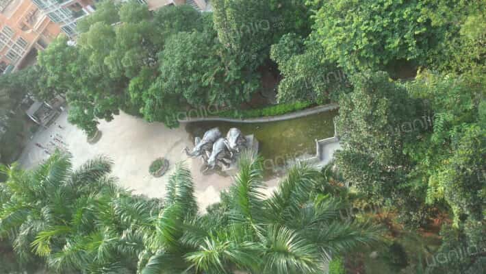 丽园盛景外景图