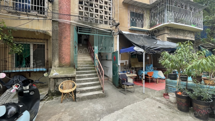 菊花洞路3号外景图