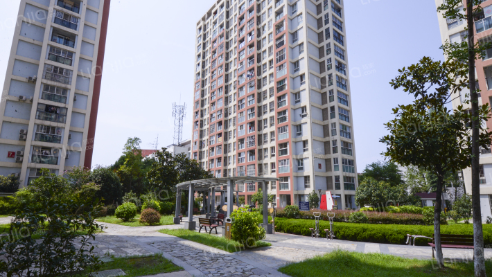 青年城1号外景图