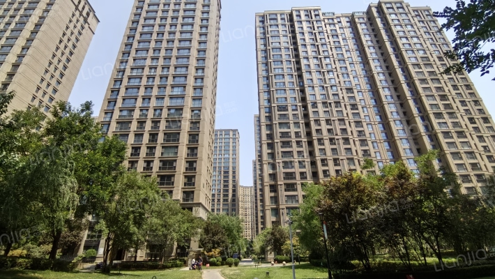 林荫大院外景图