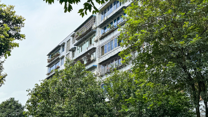 368号院小区外景图