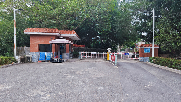 古松花园外景图