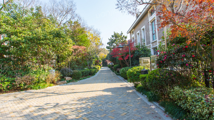 玲珑雅墅外景图