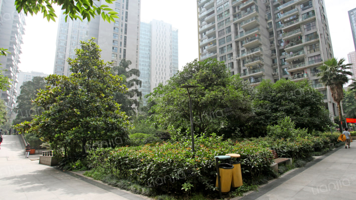 同创国际外景图