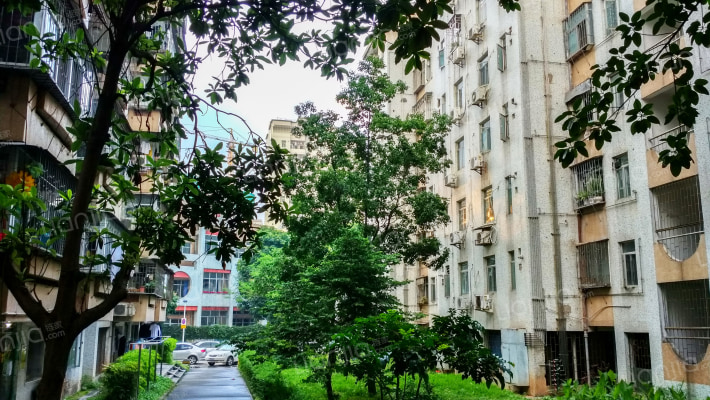 景田西小区外景图