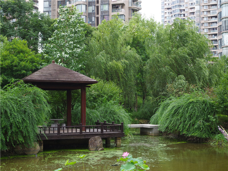 耀江文鼎苑 小区实景 34