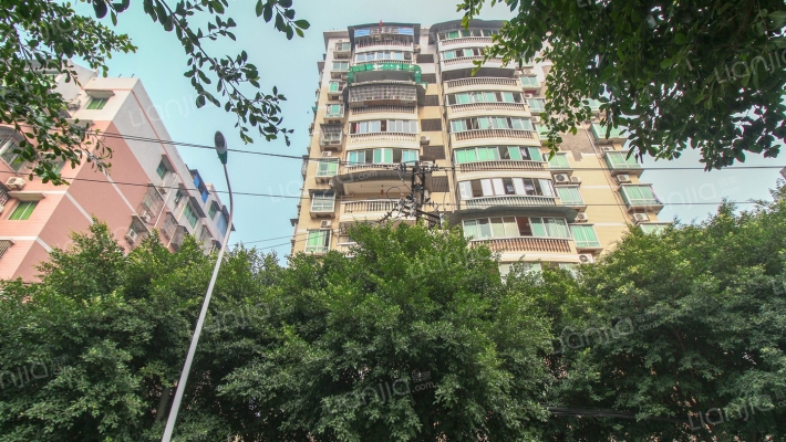 新莲花楼外景图