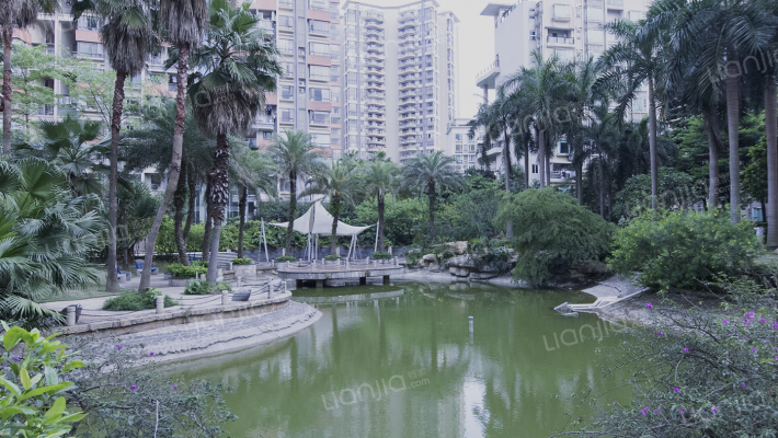 华鸿水云轩外景图