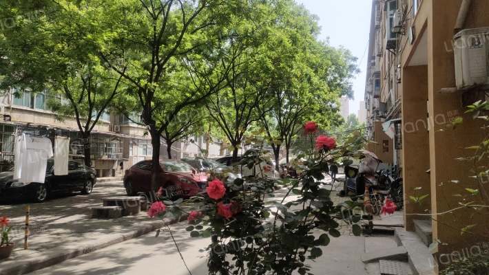 毛纺厂家属院外景图