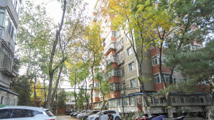 水碓子西里外景图