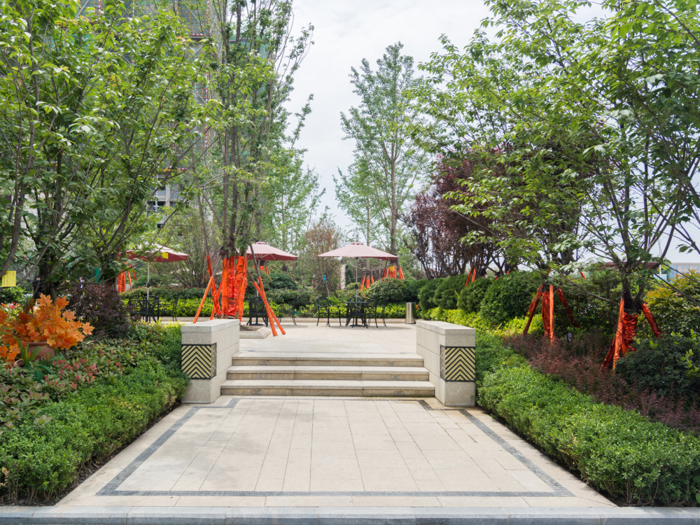 华南城中园相册