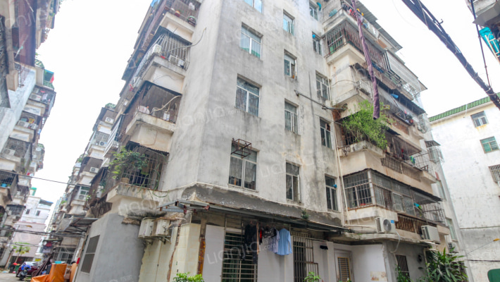 又一村花园九期外景图