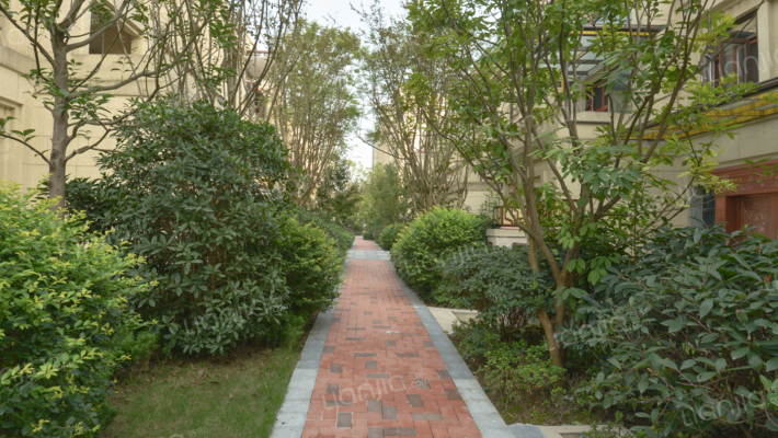 鲁能泰山7号十一街区外景图