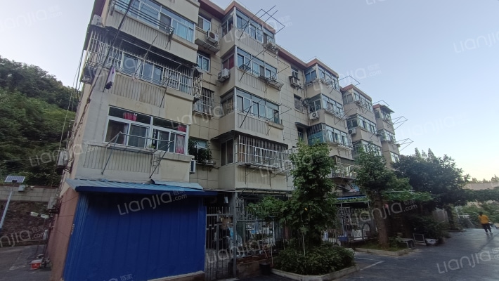 太平村97号外景图