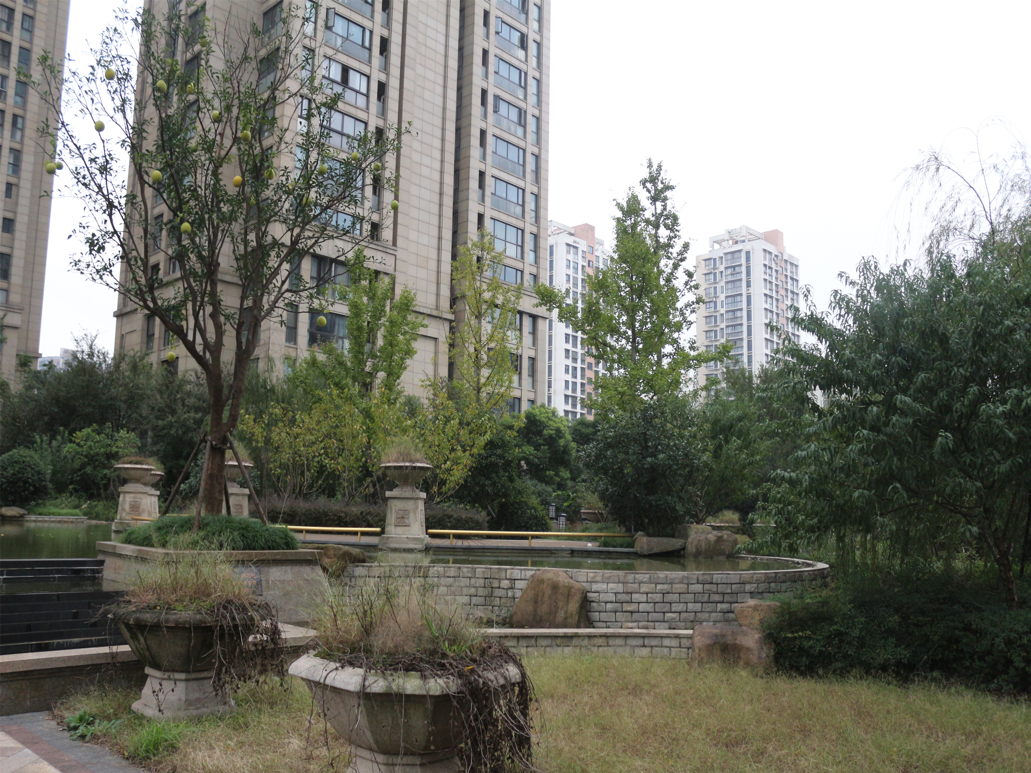 积家小区实景 12