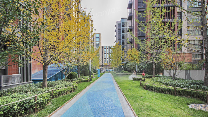 金地未未来外景图