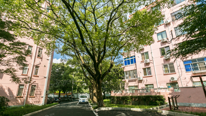 石化十一村外景图