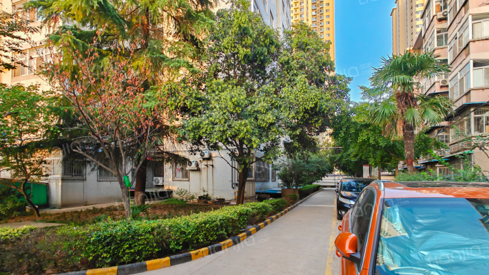 电业新村南院外景图