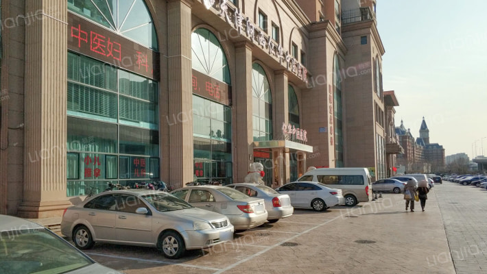 碧海白天鹅外景图