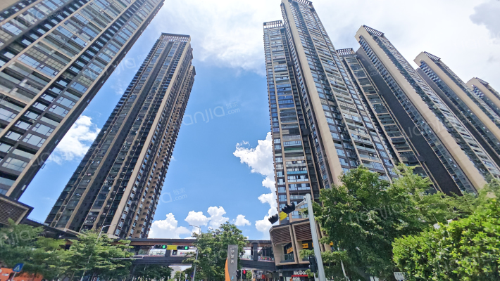 特发天鹅湖畔外景图