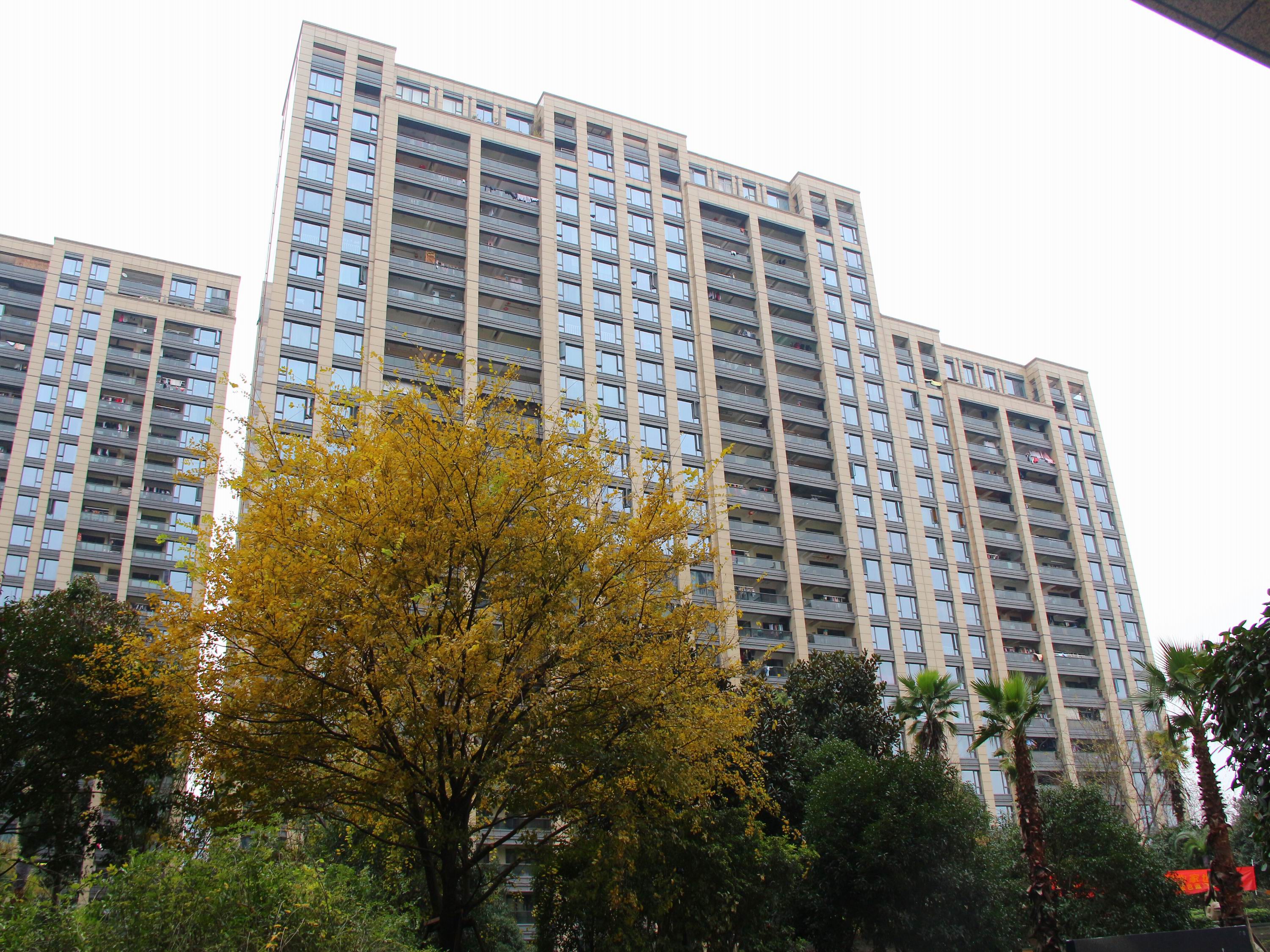 金色蓝庭小区实景 18
