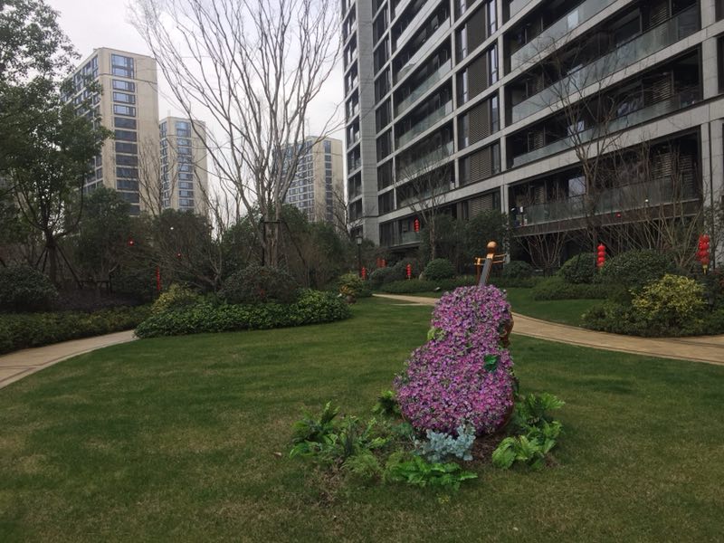 Hebin Zhicheng compound photo 16