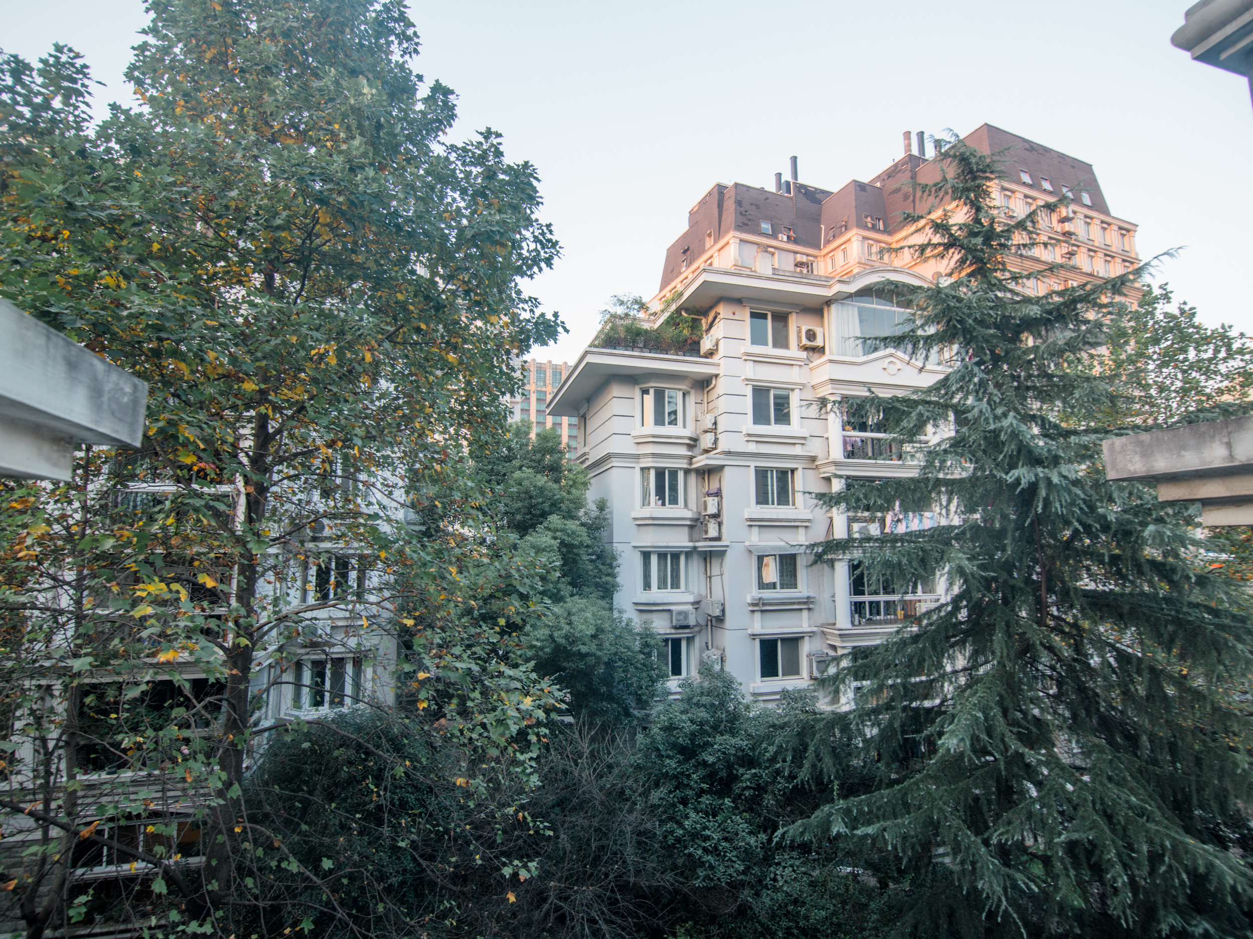 Yijing Yuan compound photo 9