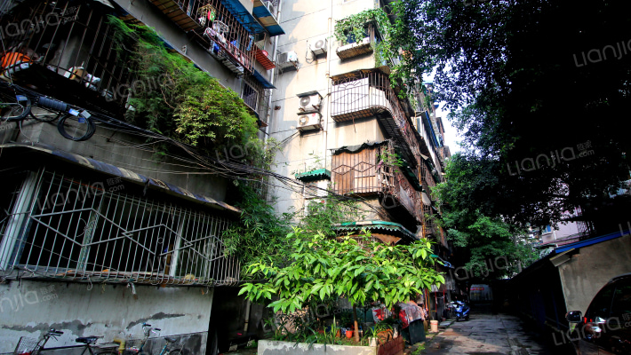 菊乐路15号外景图