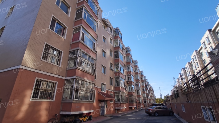 金色枫景外景图