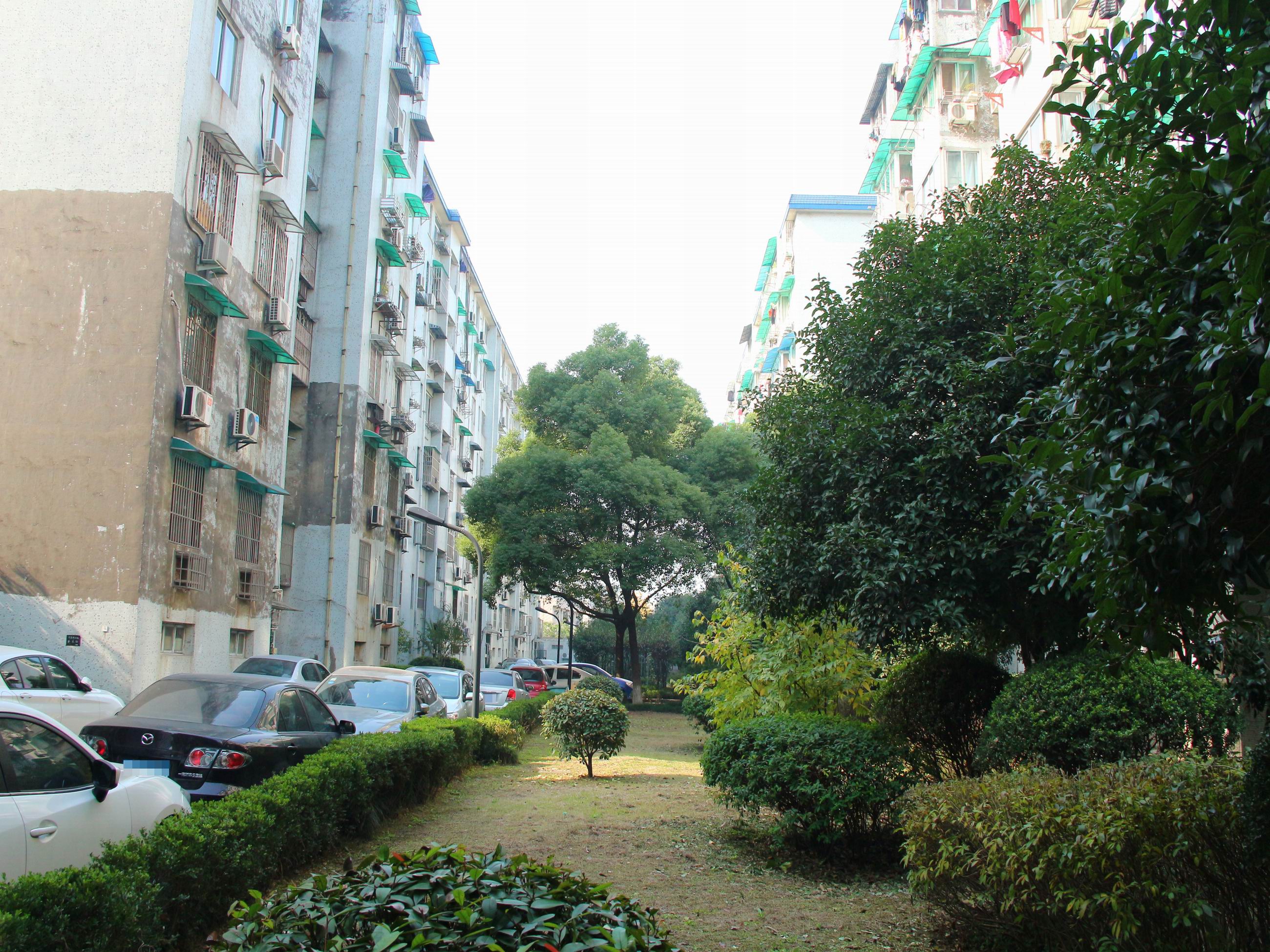 Nandu Garden compound photo 3