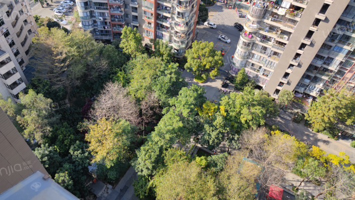 中庚书香大第南区外景图